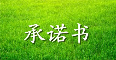 安全生产承若书模板
