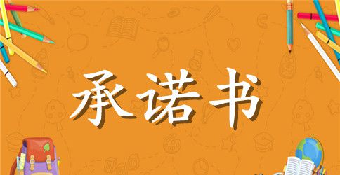 公司承诺书4篇