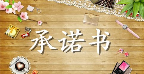 效能建设个人承诺书工作总结范文