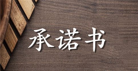 企业承诺书（五篇）