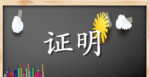 工资收入的证明范文