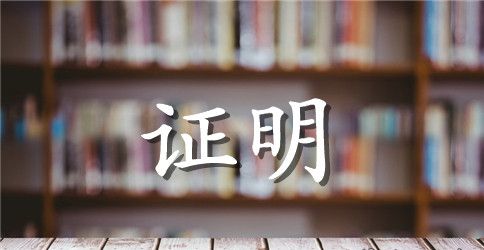 担保书证明范文3篇