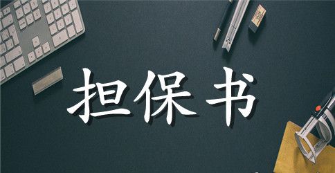 【精华】担保合同范文集锦6篇