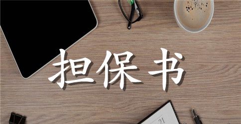 【精品】银行担保合同三篇