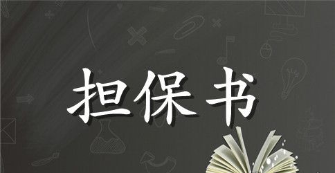 实用的担保合同集合8篇