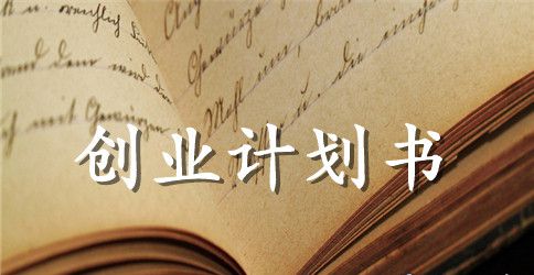 电商运营创业计划书
