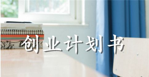 syb网店创业计划书