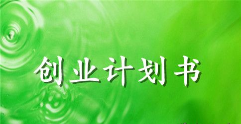 大学生创业计划书写作指南