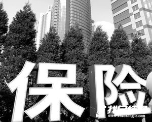 保险续收转正自我总结