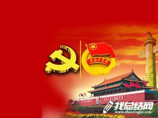 青春党建工作总结