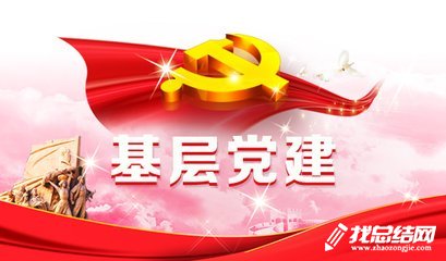 环保局基层党建述职评议考核工作总结