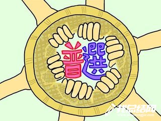 党组织换届选举工作总结