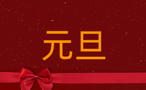 最新元旦活动总结模板