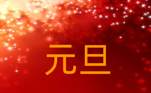 2023年元旦活动总结范文