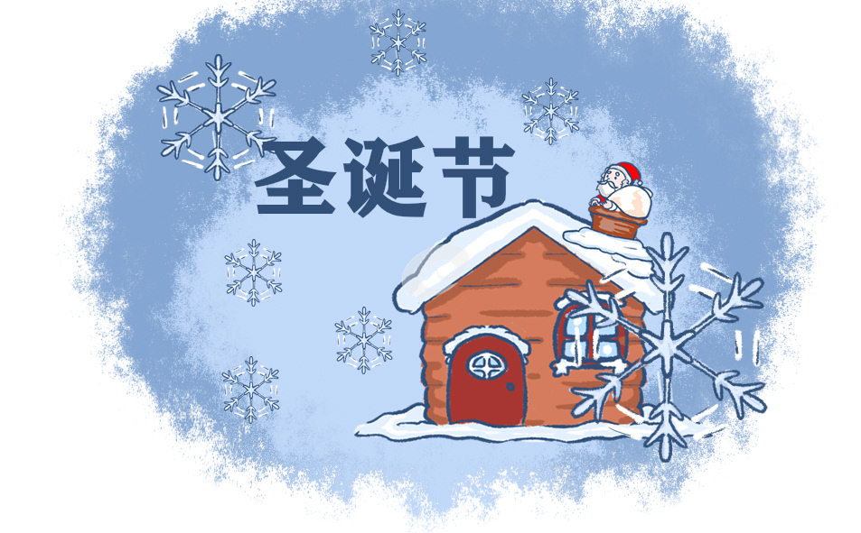 2022年圣诞节活动总结5篇