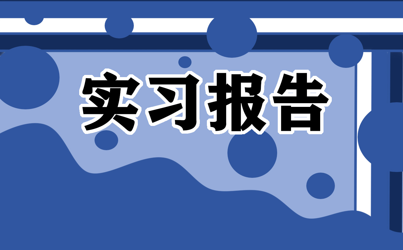 试用期个人实习总结5篇