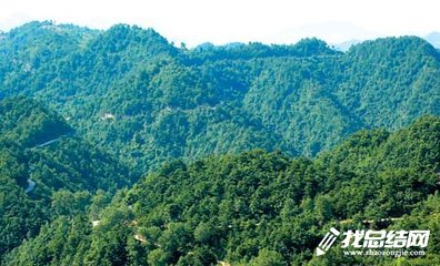 林业局2023年度工作总结