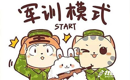 军训总结报告
