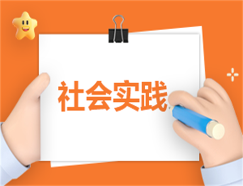 报告实践总结