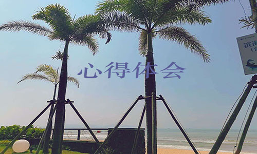 党员干部青年大学习心得体会5篇范文
